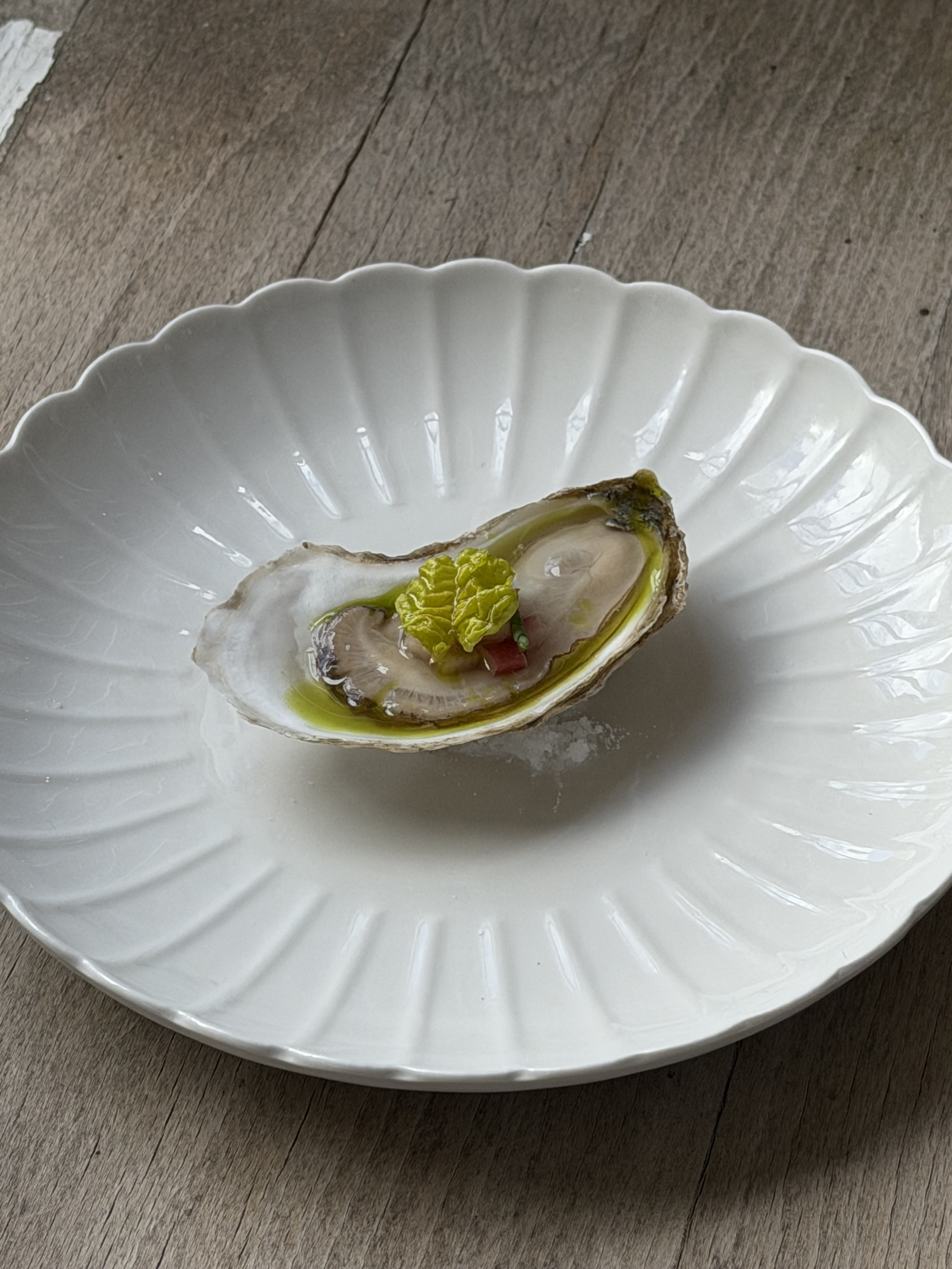 Oyster